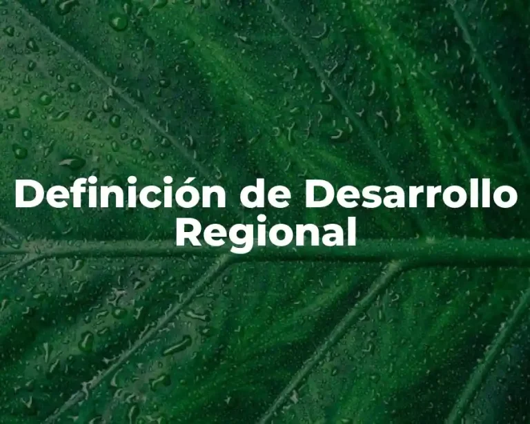 Definición de Desarrollo Regional
