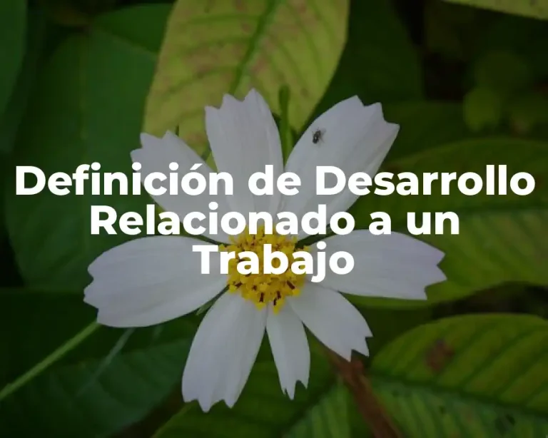Definición de Desarrollo Relacionado a un Trabajo