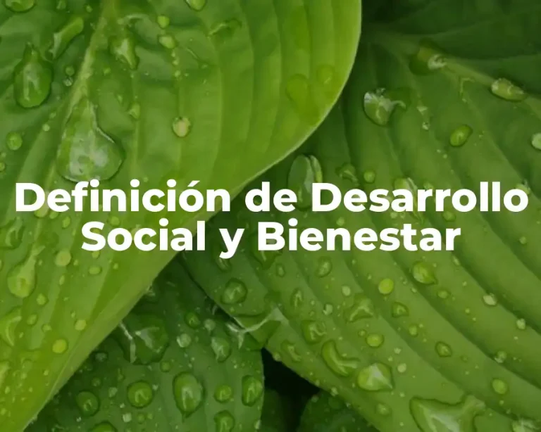 Definición de Desarrollo Social y Bienestar