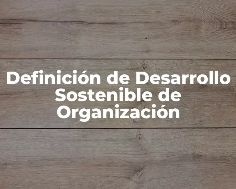 Definición de Desarrollo Sostenible de Organización