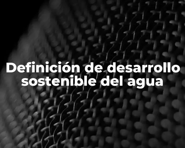 Definición de desarrollo sostenible del agua