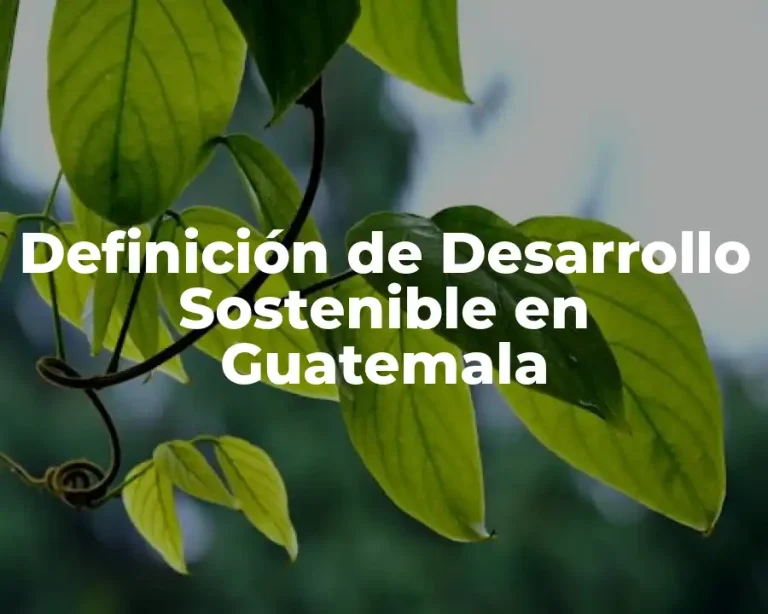 Definición de Desarrollo Sostenible en Guatemala