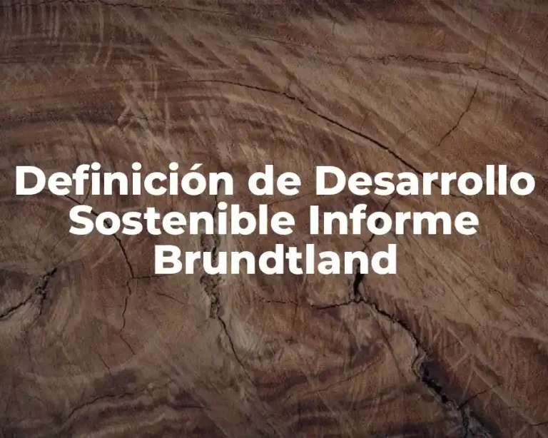 Definición de Desarrollo Sostenible Informe Brundtland
