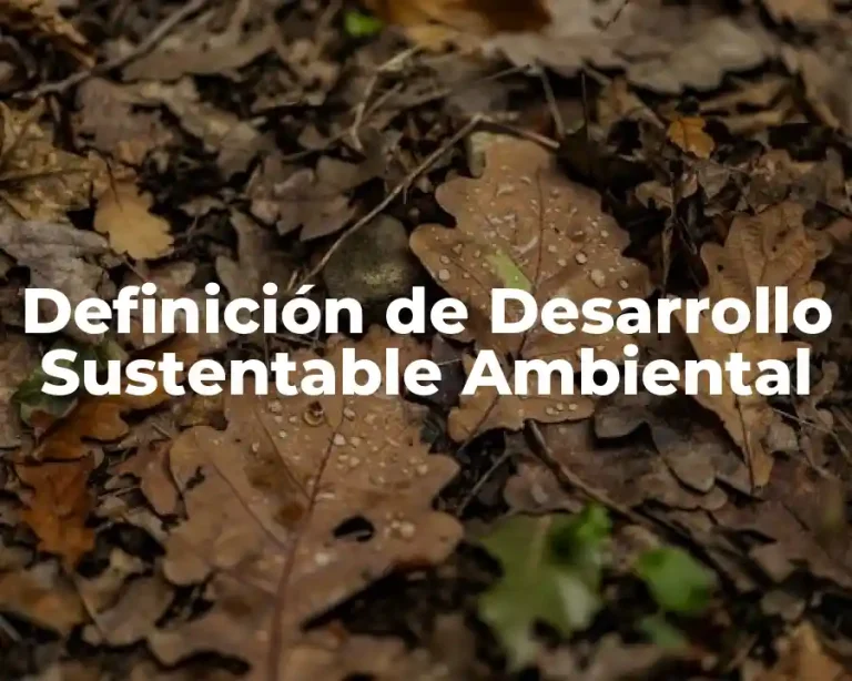 Definición de Desarrollo Sustentable Ambiental
