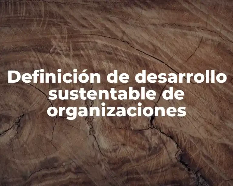 Definición de desarrollo sustentable de organizaciones