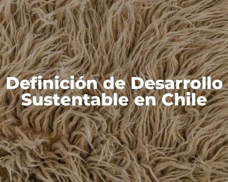 Definición de Desarrollo Sustentable en Chile