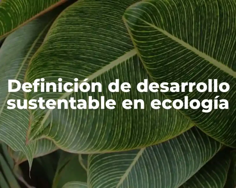 Definición de desarrollo sustentable en ecología