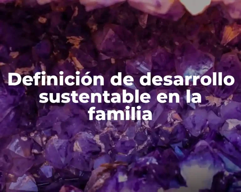 Definición de desarrollo sustentable en la familia