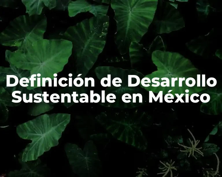 Definición de Desarrollo Sustentable en México