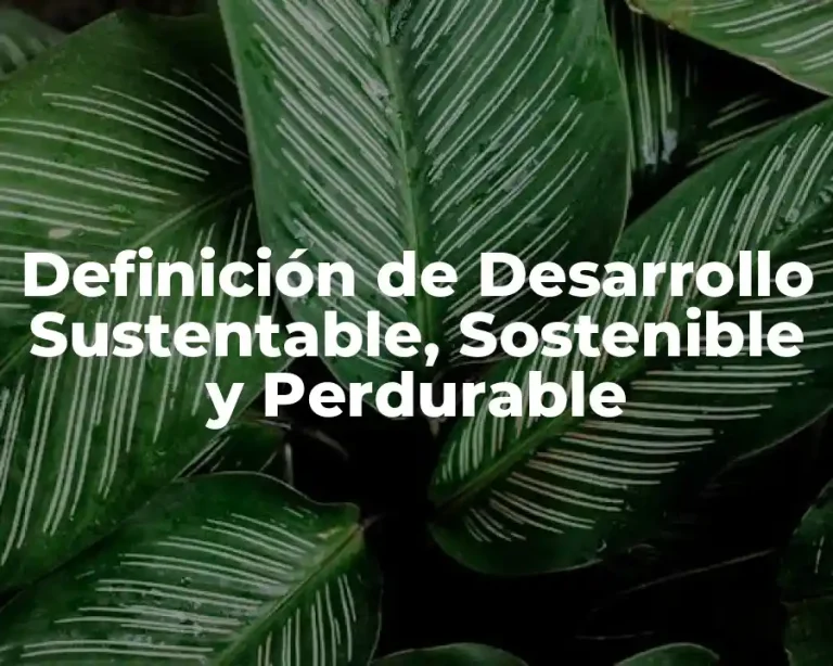 Definición de Desarrollo Sustentable, Sostenible y Perdurable