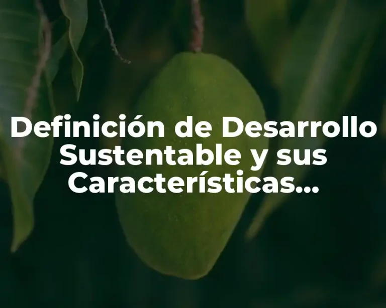 Definición de Desarrollo Sustentable y sus Características Economía