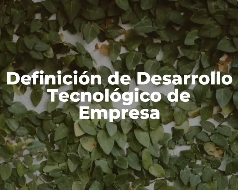 Definición de Desarrollo Tecnológico de Empresa