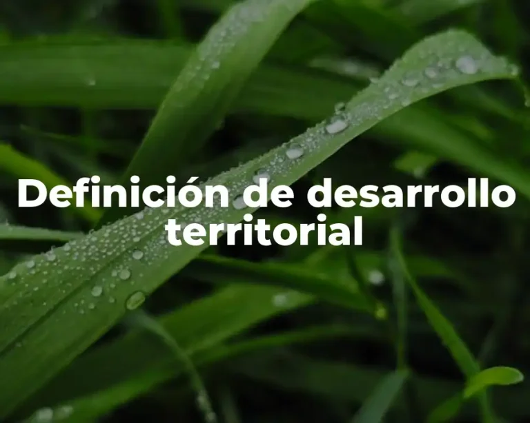 Definición de desarrollo territorial