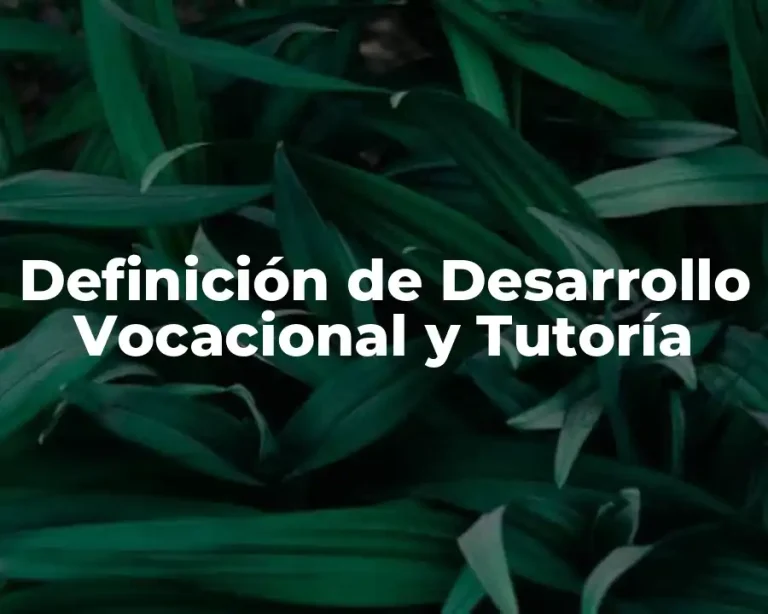 Definición de Desarrollo Vocacional y Tutoría