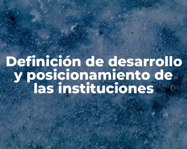 Definición de desarrollo y posicionamiento de las instituciones
