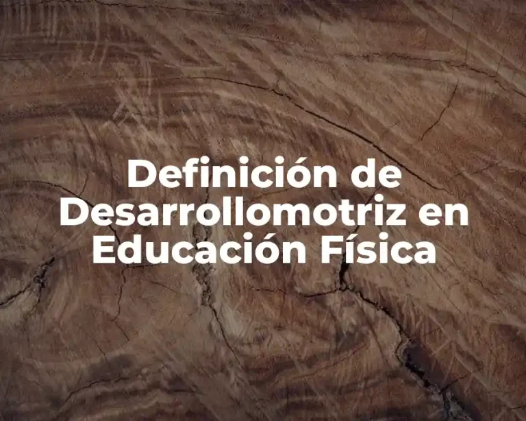 Definición de Desarrollomotriz en Educación Física