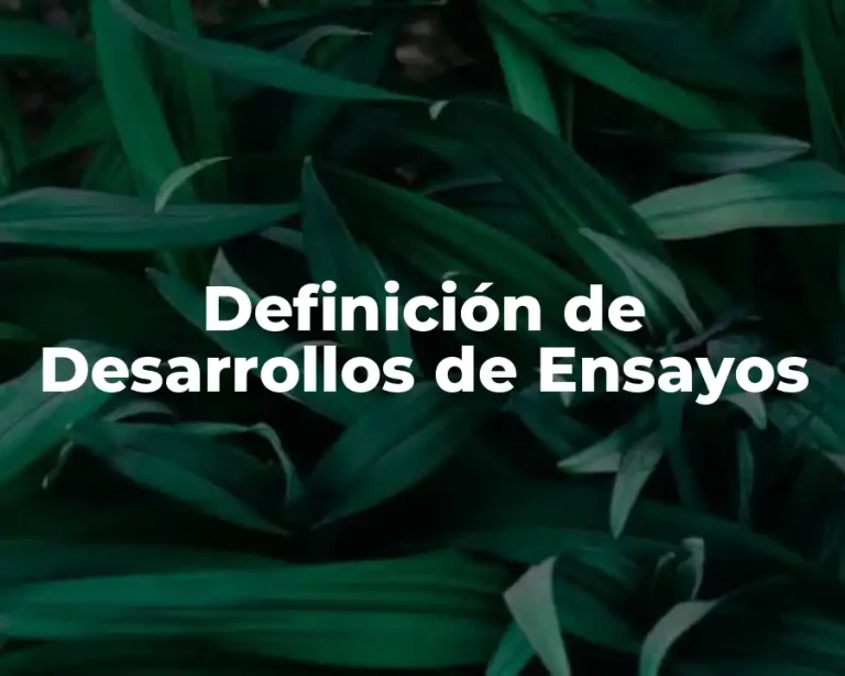 Definición de Desarrollos de Ensayos