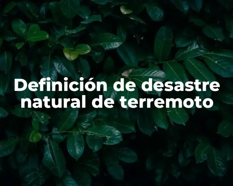 Definición de desastre natural de terremoto