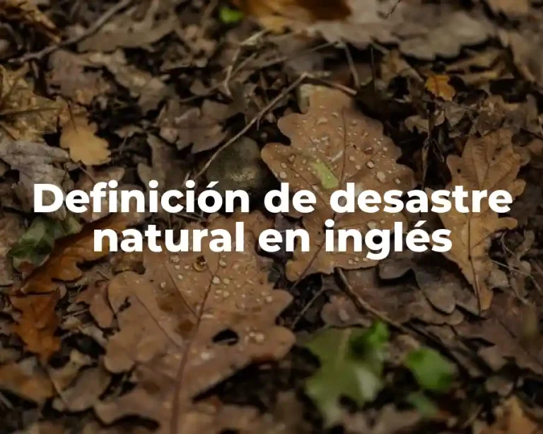 Definición de desastre natural en inglés