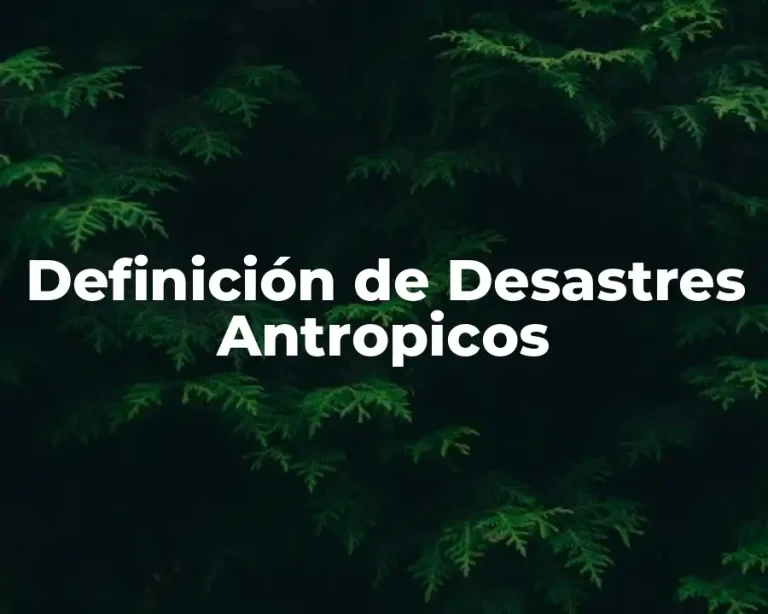 Definición de Desastres Antropicos