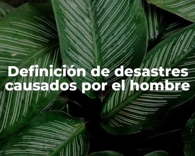 Definición de desastres causados por el hombre
