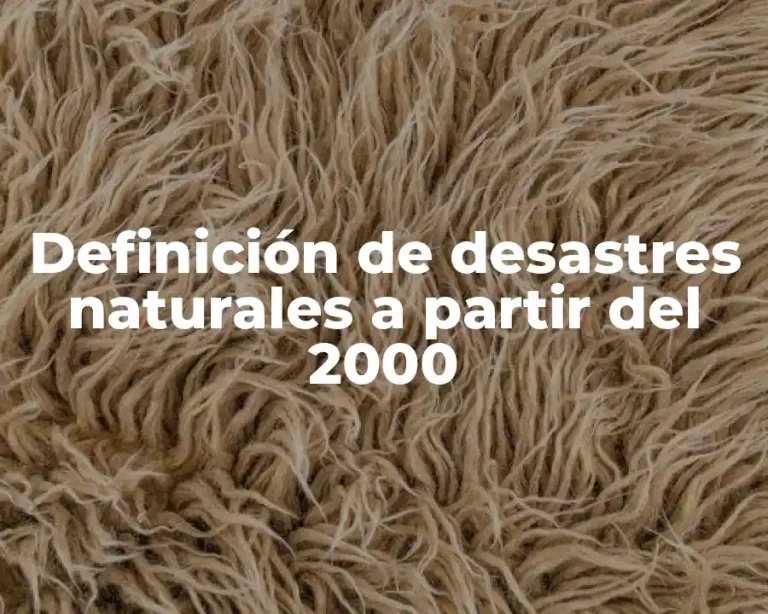 Definición de desastres naturales a partir del 2000