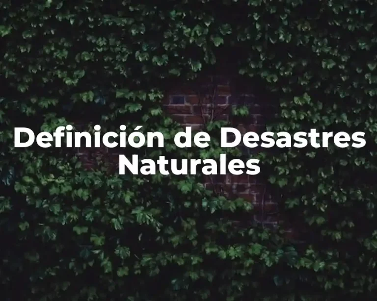 Definición de Desastres Naturales