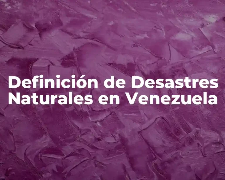 Definición de Desastres Naturales en Venezuela