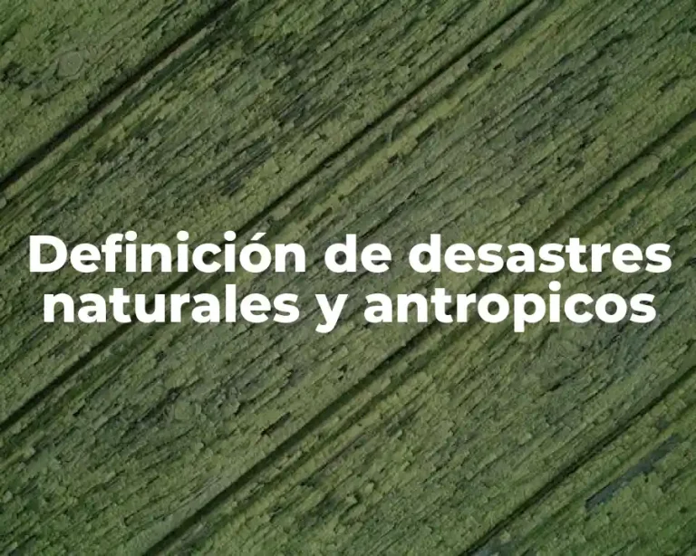 Definición de desastres naturales y antropicos