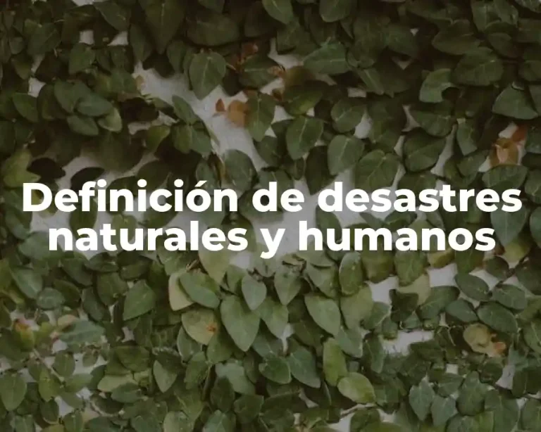 Definición de desastres naturales y humanos