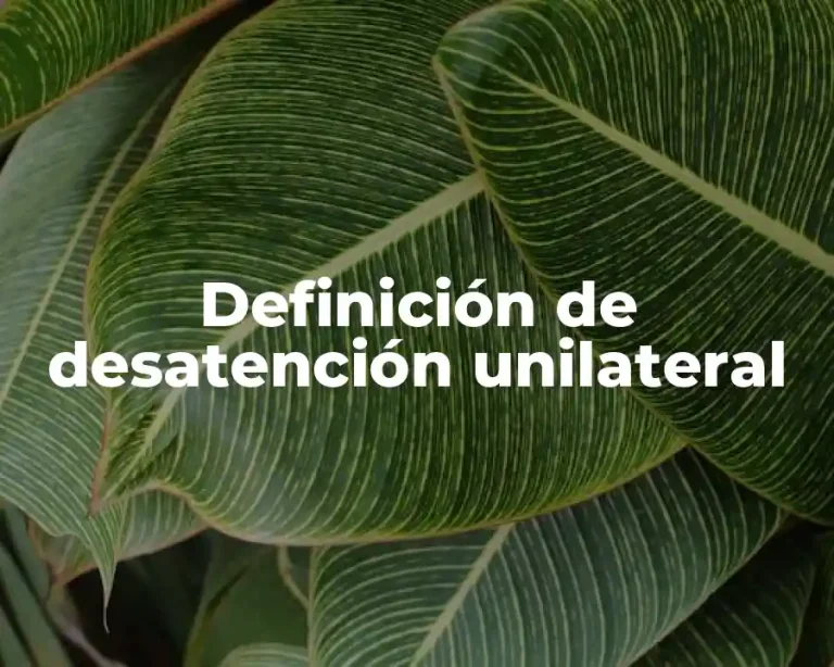 Definición de desatención unilateral