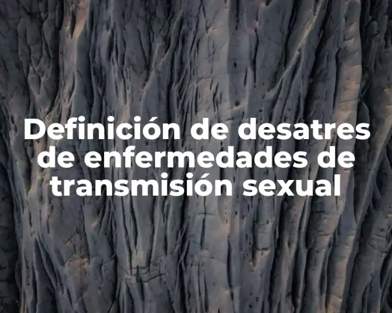 Definición de desatres de enfermedades de transmisión sexual