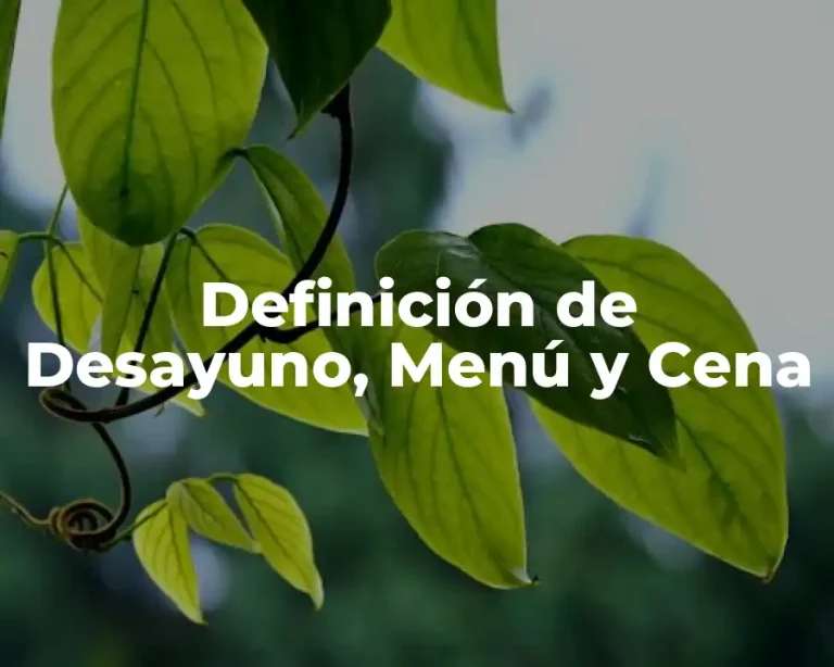 Definición de Desayuno, Menú y Cena