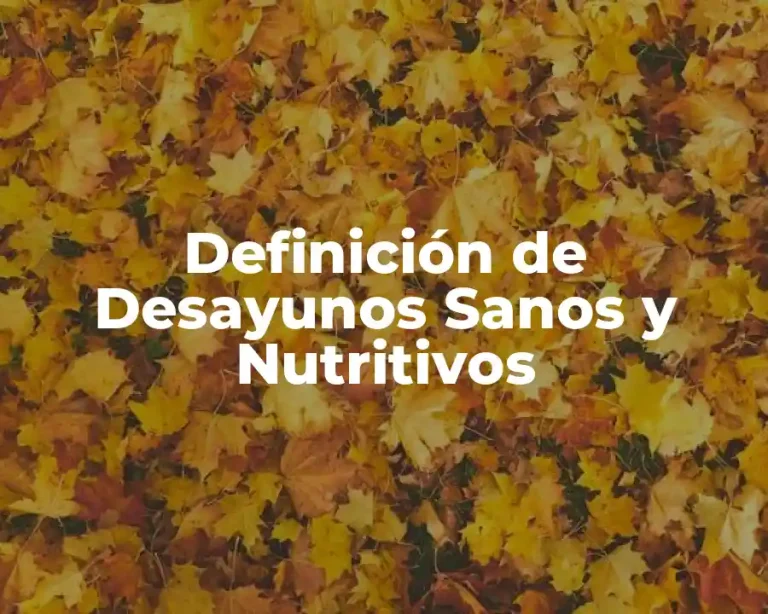Definición de Desayunos Sanos y Nutritivos