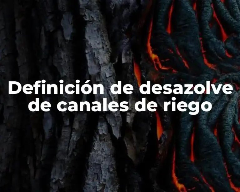 Definición de desazolve de canales de riego