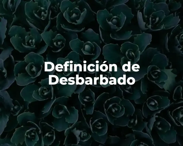 Definición de Desbarbado