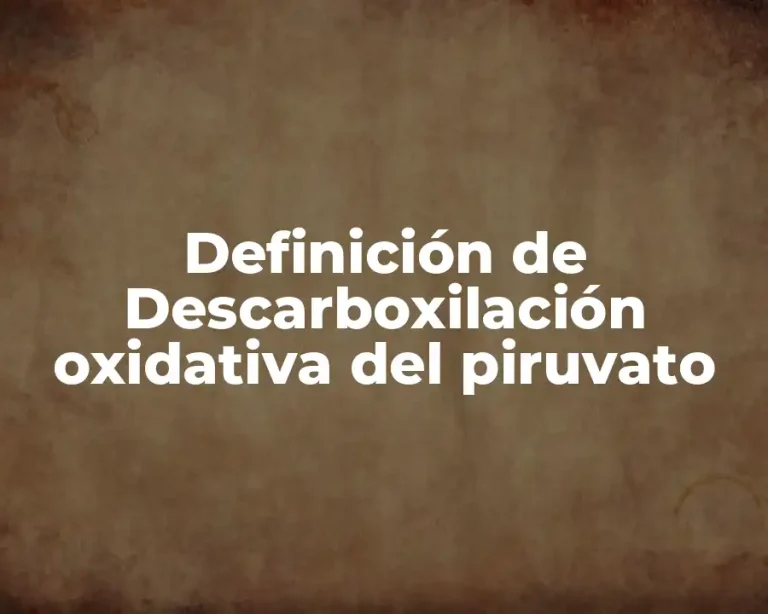 Definición de Descarboxilación oxidativa del piruvato