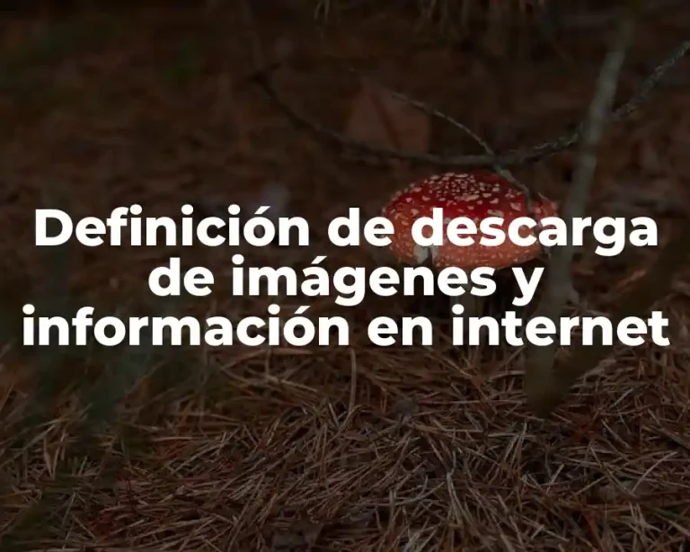 Definición de descarga de imágenes y información en internet