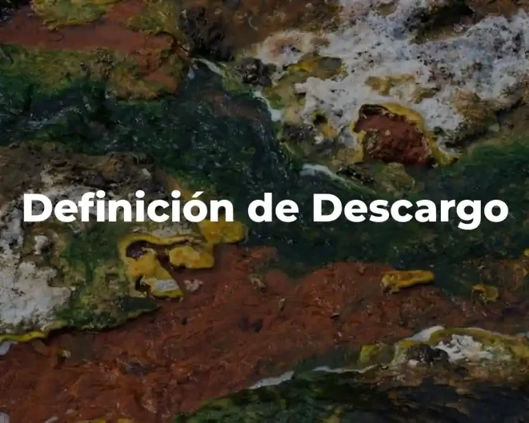 Definición de Descargo