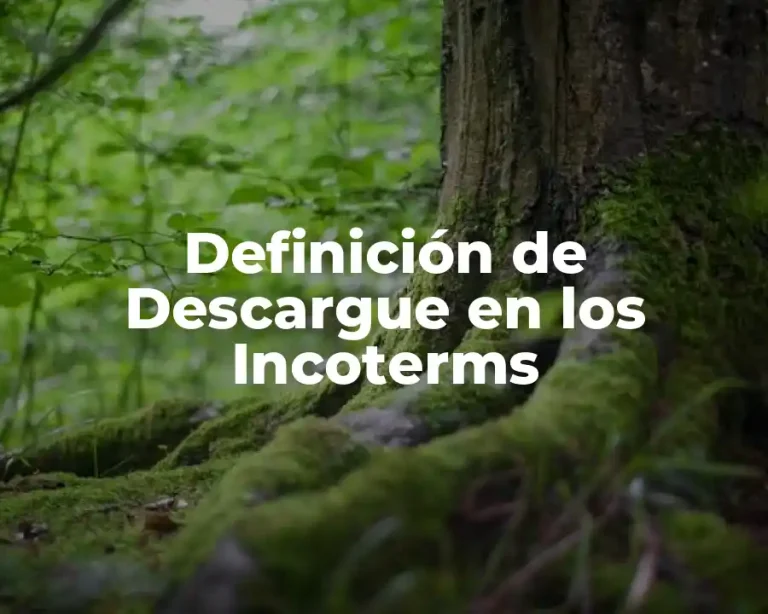 Definición de Descargue en los Incoterms