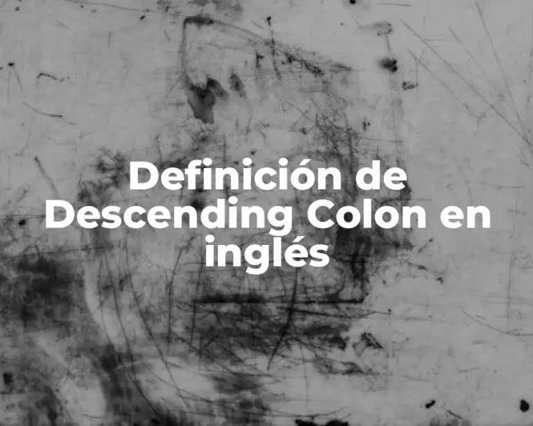Definición de Descending Colon en inglés