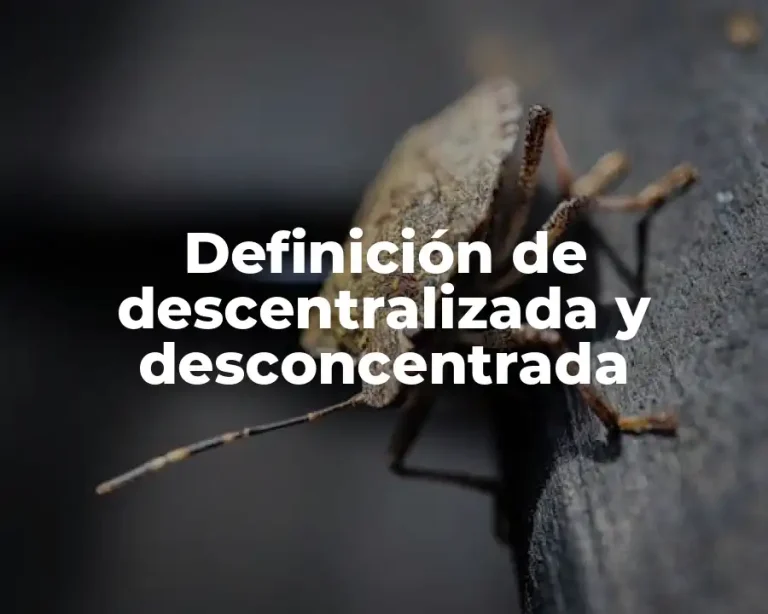 Definición de descentralizada y desconcentrada