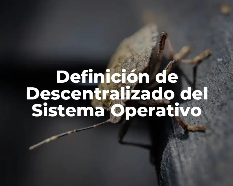 Definición de Descentralizado del Sistema Operativo