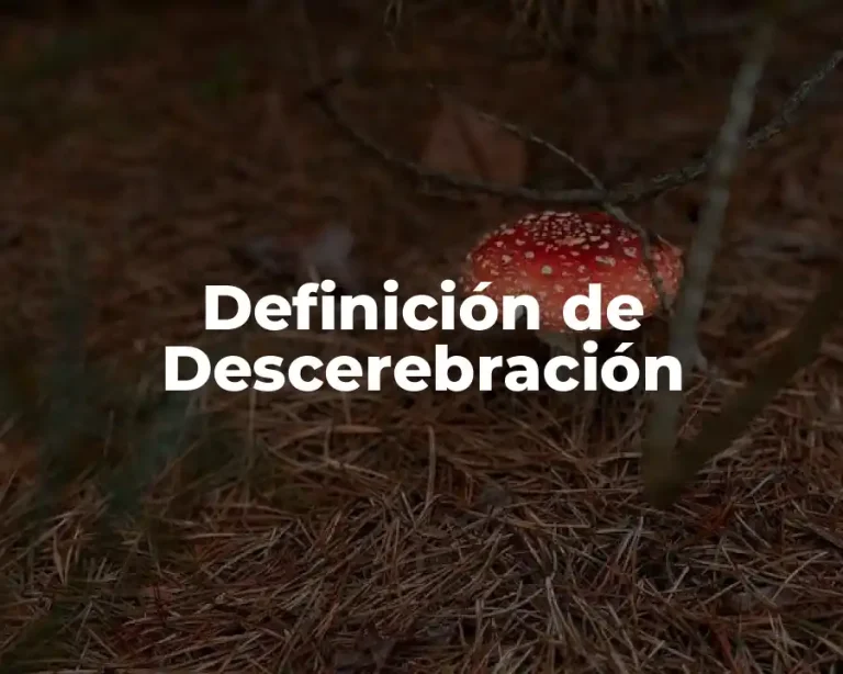 Definición de Descerebración