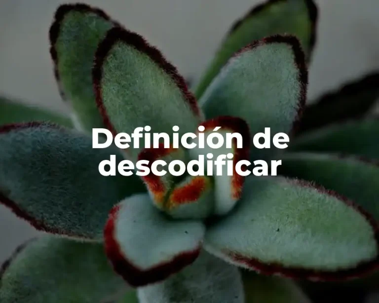 Definición de descodificar