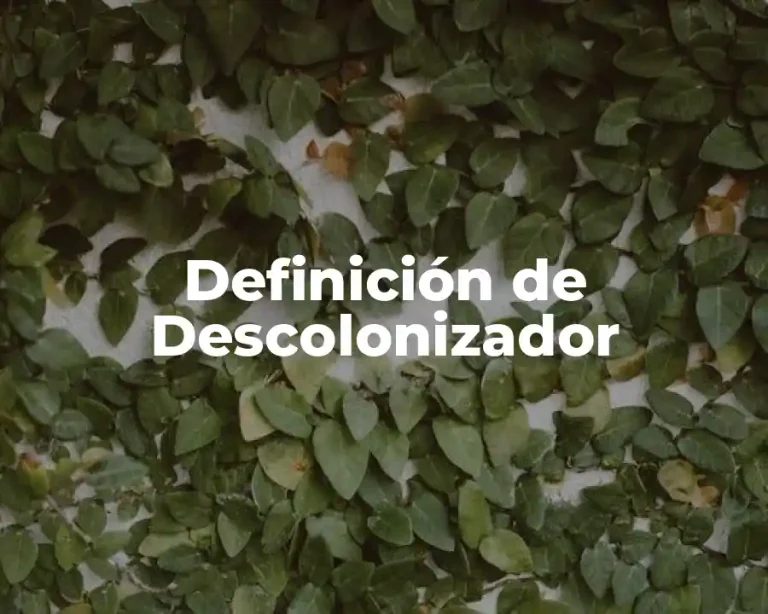 Definición de Descolonizador