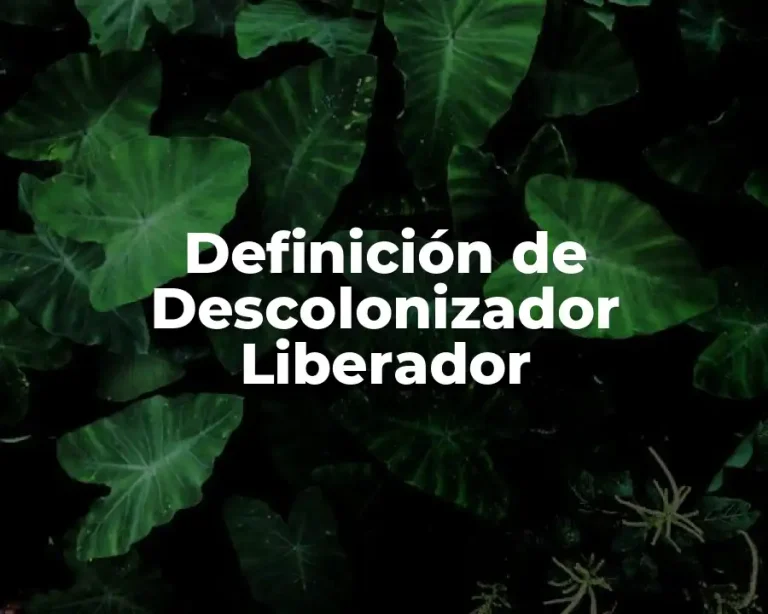 Definición de Descolonizador Liberador