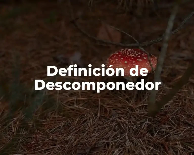 Definición de Descomponedor