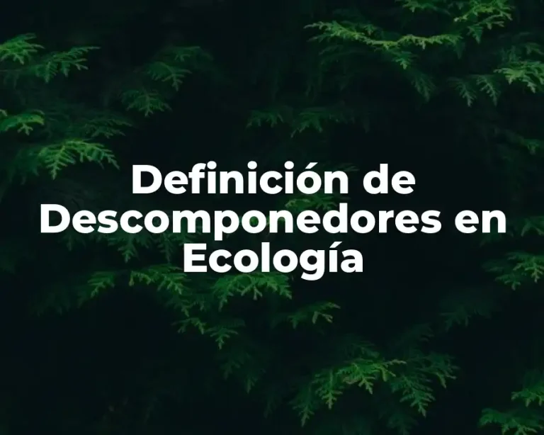 Definición de Descomponedores en Ecología