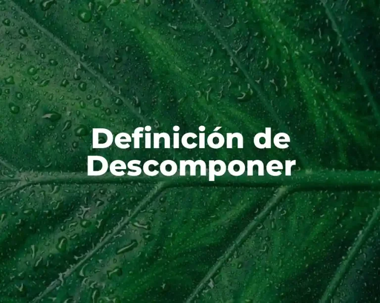 Definición de Descomponer